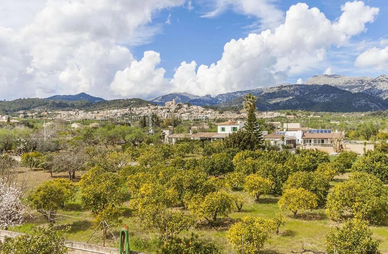 Villa Miravall Selva 0*, Σέλβα